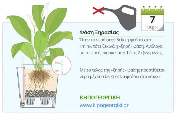 Φάση «Ξηρασίας»